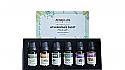 Set di oli essenziali Lavanda, Timo, Eucalipto, Citronella, Rosmarino e Bergamotto