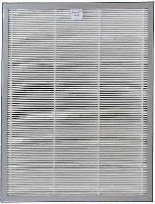 Filtro HEPA (singolo) WDH-AP1101